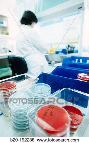 Microbiology lab View Large Photo Image Stock Photo - Microbiology lab. Fotosearch