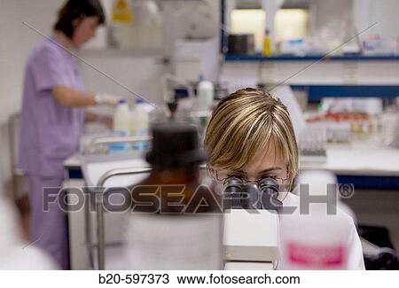 Microbiology laboratory. Hospital de Zumarraga, Gipuzkoa, Euskadi, Spain View Large Photo Image Stock Image - Microbiology laboratory. Hospital de Zumarraga, Gipuzkoa, Euskadi, Spain. Fotosearch