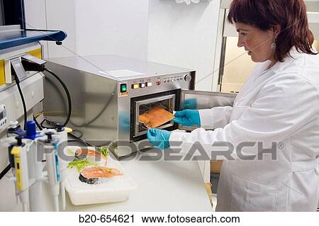 Microbiology laboratory. Light pulses technology for food preservation (fishing products). Microbiological analysis. AZTI-Tecnalia. Technological Centre specialised in Marine and Food Research. Sukarrieta, Bizkaia, Euskadi. Spain. View Large Photo Image Stock Image - Microbiology laboratory. Light pulses technology for food preservation (fishing products). Microbiological analysis. AZTI-Tecnalia. Technological Centre specialised in Marine and Food Research. Sukarrieta, Bizkaia, Euskadi. Spain.. Fotosearch