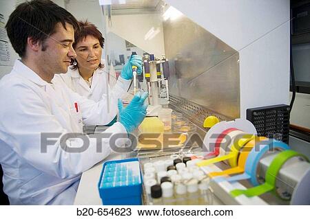 Microbiology laboratory. Light pulses technology for food preservation (fishing products). Microbiological analysis. AZTI-Tecnalia. Technological Centre specialised in Marine and Food Research. Sukarrieta, Bizkaia, Euskadi. Spain. View Large Photo Image Stock Image - Microbiology laboratory. Light pulses technology for food preservation (fishing products). Microbiological analysis. AZTI-Tecnalia. Technological Centre specialised in Marine and Food Research. Sukarrieta, Bizkaia, Euskadi. Spain.. Fotosearch