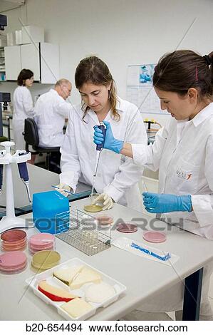 Microbiology laboratory. Microbiological tests of food, cheese. AZTI-Tecnalia. Technological Centre specialised in Marine and Food Research. Sukarrieta, Bizkaia, Euskadi. Spain. View Large Photo Image Picture - Microbiology laboratory. Microbiological tests of food, cheese. AZTI-Tecnalia. Technological Centre specialised in Marine and Food Research. Sukarrieta, Bizkaia, Euskadi. Spain.. Fotosearch
