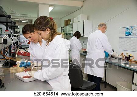 Microbiology laboratory. Microbiological tests of food. Meat. AZTI-Tecnalia. Technological Centre specialised in Marine and Food Research. Sukarrieta, Bizkaia, Euskadi. Spain. View Large Photo Image Picture - Microbiology laboratory. Microbiological tests of food. Meat. AZTI-Tecnalia. Technological Centre specialised in Marine and Food Research. Sukarrieta, Bizkaia, Euskadi. Spain.. Fotosearch