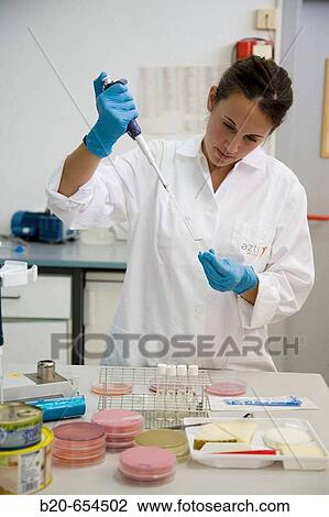 Microbiology laboratory. Microbiological tests of food. AZTI-Tecnalia. Technological Centre specialised in Marine and Food Research. Sukarrieta, Bizkaia, Euskadi. Spain. View Large Photo Image Stock Image - Microbiology laboratory. Microbiological tests of food. AZTI-Tecnalia. Technological Centre specialised in Marine and Food Research. Sukarrieta, Bizkaia, Euskadi. Spain.. Fotosearch