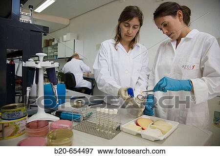 Stock Photo - Microbiology laboratory. Microbiological tests of food, cheese. AZTI-Tecnalia. Technological Centre specialised in Marine and Food Research. Sukarrieta, Bizkaia, Euskadi. Spain.. Fotosearch