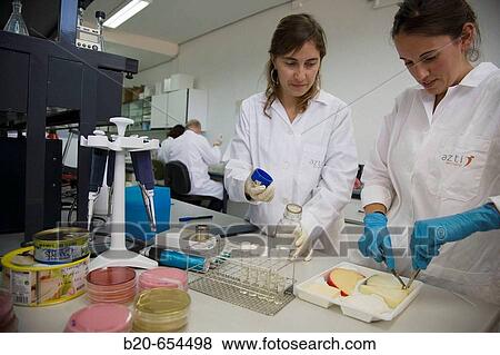 Microbiology laboratory. Microbiological tests of food, cheese. AZTI-Tecnalia. Technological Centre specialised in Marine and Food Research. Sukarrieta, Bizkaia, Euskadi. Spain. View Large Photo Image Stock Photo - Microbiology laboratory. Microbiological tests of food, cheese. AZTI-Tecnalia. Technological Centre specialised in Marine and Food Research. Sukarrieta, Bizkaia, Euskadi. Spain.. Fotosearch
