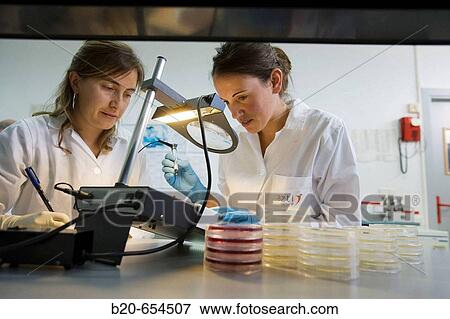 Microbiology laboratory. Microbiological tests of food. Bacteries count. AZTI-Tecnalia. Technological Centre specialised in Marine and Food Research. Sukarrieta, Bizkaia, Euskadi. Spain. View Large Photo Image Stock Photo - Microbiology laboratory. Microbiological tests of food. Bacteries count. AZTI-Tecnalia. Technological Centre specialised in Marine and Food Research. Sukarrieta, Bizkaia, Euskadi. Spain.. Fotosearch