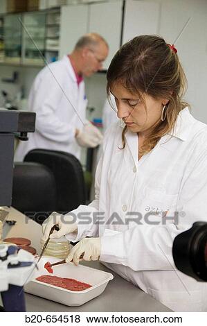 Microbiology laboratory. Microbiological tests of food. Meat. AZTI-Tecnalia. Technological Centre specialised in Marine and Food Research. Sukarrieta, Bizkaia, Euskadi. Spain. View Large Photo Image Stock Photo - Microbiology laboratory. Microbiological tests of food. Meat. AZTI-Tecnalia. Technological Centre specialised in Marine and Food Research. Sukarrieta, Bizkaia, Euskadi. Spain.. Fotosearch