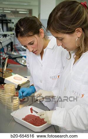 Microbiology laboratory. Microbiological tests of food. Meat. AZTI-Tecnalia. Technological Centre specialised in Marine and Food Research. Sukarrieta, Bizkaia, Euskadi. Spain. View Large Photo Image Stock Photograph - Microbiology laboratory. Microbiological tests of food. Meat. AZTI-Tecnalia. Technological Centre specialised in Marine and Food Research. Sukarrieta, Bizkaia, Euskadi. Spain.. Fotosearch