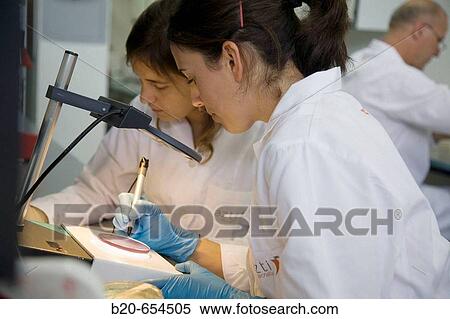 Microbiology laboratory. Microbiological tests of food. Bacteries count. AZTI-Tecnalia. Technological Centre specialised in Marine and Food Research. Sukarrieta, Bizkaia, Euskadi. Spain. View Large Photo Image Stock Photography - Microbiology laboratory. Microbiological tests of food. Bacteries count. AZTI-Tecnalia. Technological Centre specialised in Marine and Food Research. Sukarrieta, Bizkaia, Euskadi. Spain.. Fotosearch