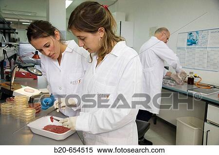 Microbiology laboratory. Microbiological tests of food. Meat. AZTI-Tecnalia. Technological Centre specialised in Marine and Food Research. Sukarrieta, Bizkaia, Euskadi. Spain. View Large Photo Image Stock Photography - Microbiology laboratory. Microbiological tests of food. Meat. AZTI-Tecnalia. Technological Centre specialised in Marine and Food Research. Sukarrieta, Bizkaia, Euskadi. Spain.. Fotosearch