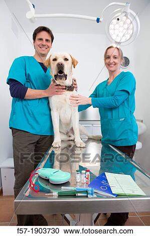 Microchip implant & reader, rabies vaccination and European Pet Passport View Large Photo Image Stock Image - Microchip implant & reader, rabies vaccination and European Pet Passport. Fotosearch