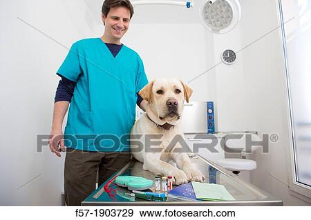 Microchip implant & scanner, rabies vaccination and European Pet Passport View Large Photo Image Stock Photo - Microchip implant & scanner, rabies vaccination and European Pet Passport. Fotosearch