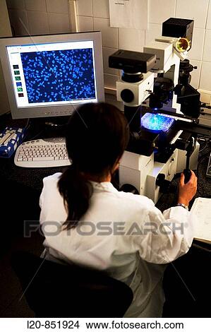 Microscope, Department of Neuropharmacology, IIBB - Institute for Biomedical Research of Barcelona, CSIC - Consejo Superior de Investigacion Cientifica (Spanish National Research Council), Barcelona, Catalonia, Spain View Large Photo Image Picture - Microscope, Department of Neuropharmacology, IIBB - Institute for Biomedical Research of Barcelona, CSIC - Consejo Superior de Investigacion Cientifica (Spanish National Research Council), Barcelona, Catalonia, Spain. Fotosearch