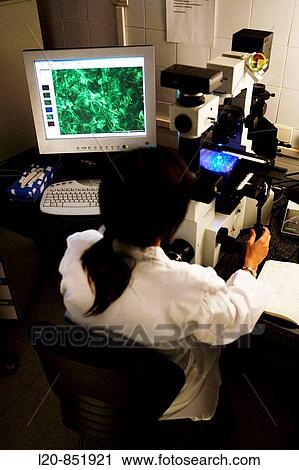 Microscope, Department of Neuropharmacology, IIBB - Institute for Biomedical Research of Barcelona, CSIC - Consejo Superior de Investigacion Cientifica (Spanish National Research Council), Barcelona, Catalonia, Spain View Large Photo Image Stock Image - Microscope, Department of Neuropharmacology, IIBB - Institute for Biomedical Research of Barcelona, CSIC - Consejo Superior de Investigacion Cientifica (Spanish National Research Council), Barcelona, Catalonia, Spain. Fotosearch