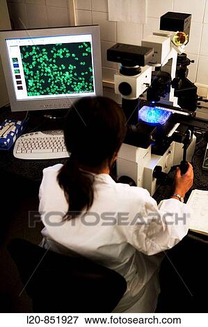 Stock Photo - Microscope, Department of Neuropharmacology, IIBB - Institute for Biomedical Research of Barcelona, CSIC - Consejo Superior de Investigacion Cientifica (Spanish National Research Council), Barcelona, Catalonia, Spain. Fotosearch