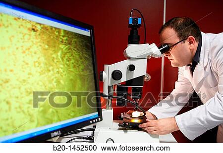 Stock Image - Microscope for the automated analysis of biological images, Tecnalia Research & Innovation, Zamudio, Bizkaia, Euskadi, Spain. Fotosearch