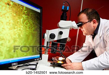 Stock Image - Microscope for the automated analysis of biological images, Tecnalia Research & Innovation, Zamudio, Bizkaia, Euskadi, Spain. Fotosearch