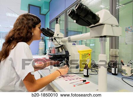 Microscope, General Cultures, Microbiology Department, Donostia Hospital, San Sebastian, Donostia, Gipuzkoa, Basque Country, Spain View Large Photo Image Stock Image - Microscope, General Cultures, Microbiology Department, Donostia Hospital, San Sebastian, Donostia, Gipuzkoa, Basque Country, Spain. Fotosearch