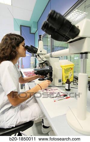 Microscope, General Cultures, Microbiology Department, Donostia Hospital, San Sebastian, Donostia, Gipuzkoa, Basque Country, Spain View Large Photo Image Stock Image - Microscope, General Cultures, Microbiology Department, Donostia Hospital, San Sebastian, Donostia, Gipuzkoa, Basque Country, Spain. Fotosearch