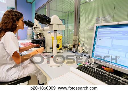 Microscope, General Cultures, Microbiology Department, Donostia Hospital, San Sebastian, Donostia, Gipuzkoa, Basque Country, Spain View Large Photo Image Stock Photo - Microscope, General Cultures, Microbiology Department, Donostia Hospital, San Sebastian, Donostia, Gipuzkoa, Basque Country, Spain. Fotosearch