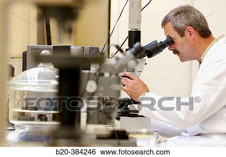 Microscope. Metallurgical laboratory. Metal Industry. View Large Photo Image Stock Photograph - Microscope. Metallurgical laboratory. Metal Industry.. Fotosearch