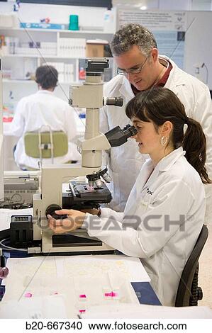 Microscope observation, Entomology Laboratory, Neiker Tecnalia, Instituto de Investigaci? n y Desarrollo Agrario, Ganadero, Forestal y del Medio Natural, Arkaute, Alava, Euskadi, Spain. View Large Photo Image Stock Image - Microscope observation, Entomology Laboratory, Neiker Tecnalia, Instituto de Investigaci? n y Desarrollo Agrario, Ganadero, Forestal y del Medio Natural, Arkaute, Alava, Euskadi, Spain.. Fotosearch