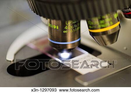 Microscope. View Large Photo Image Stock Image - Microscope.. Fotosearch