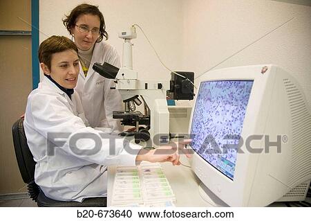 Microscopy and cells image, Laboratory of Pathological anatomy, Departamento de Producci? n y Sanidad Animal, Neiker Tecnalia, Instituto de Investigaci? n y Desarrollo Agrario, Ganadero, Forestal y del Medio Natural, Derio, Bizkaia, Euskadi, Spain View Large Photo Image Stock Image - Microscopy and cells image, Laboratory of Pathological anatomy, Departamento de Producci? n y Sanidad Animal, Neiker Tecnalia, Instituto de Investigaci? n y Desarrollo Agrario, Ganadero, Forestal y del Medio Natural, Derio, Bizkaia, Euskadi, Spain. Fotosearch