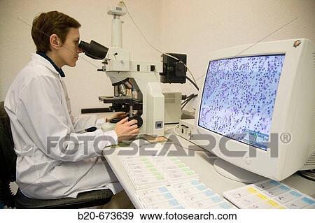 Stock Photo - Microscopy and cells image, Laboratory of Pathological anatomy, Departamento de Producci? n y Sanidad Animal, Neiker Tecnalia, Instituto de Investigaci? n y Desarrollo Agrario, Ganadero, Forestal y del Medio Natural, Derio, Bizkaia, Euskadi, Spain. Fotosearch