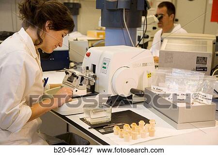 Stock Photo - Microtome, Fishing biology laboratory. Polishing and reading of otoliths and gonads. AZTI-Tecnalia. Technological Centre specialised in Marine and Food Research. Pasaia, Gipuzkoa, Euskadi. Spain.. Fotosearch