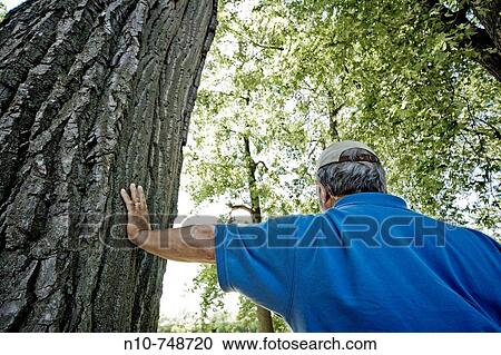 Middle-age man, back to the camera, leaning against a tree. View Large Photo Image Stock Image - Middle-age man, back to the camera, leaning against a tree.. Fotosearch