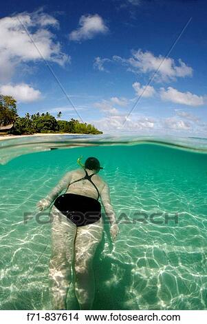 Middle aged women in one piece swim suit snorkelling over sandy on tropical beach. Ha`apai Group, Tonga. South Pacific Ocean. View Large Photo Image Picture - Middle aged women in one piece swim suit snorkelling over sandy on tropical beach. Ha`apai Group, Tonga. South Pacific Ocean.. Fotosearch