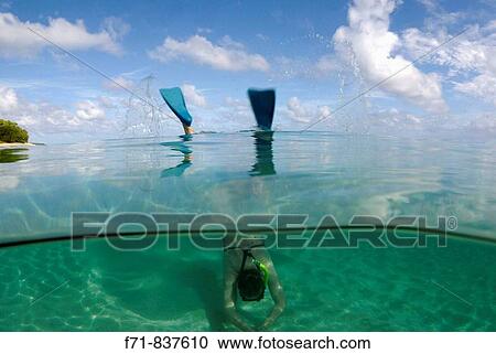 Middle aged women in one piece swim suit snorkelling over sandy on tropical beach. Ha`apai Group, Tonga. South Pacific Ocean. View Large Photo Image Stock Image - Middle aged women in one piece swim suit snorkelling over sandy on tropical beach. Ha`apai Group, Tonga. South Pacific Ocean.. Fotosearch