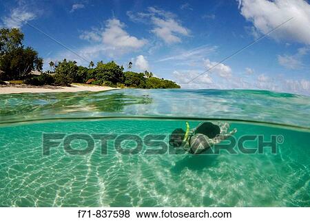 Middle aged women in one piece swim suit snorkelling over sandy on tropical beach. Ha`apai Group, Tonga. South Pacific Ocean. View Large Photo Image Stock Photo - Middle aged women in one piece swim suit snorkelling over sandy on tropical beach. Ha`apai Group, Tonga. South Pacific Ocean.. Fotosearch