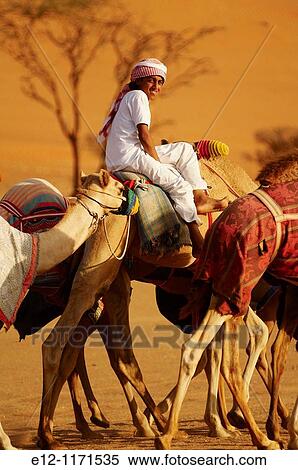 Middle East, Oman, desert of Wahiba, kids training race camels bedouins. View Large Photo Image Stock Photography - Middle East, Oman, desert of Wahiba, kids training race camels bedouins.. Fotosearch