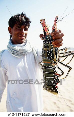 Middle East, Oman, harbour of Sur, lobster. View Large Photo Image Stock Photo - Middle East, Oman, harbour of Sur, lobster.. Fotosearch
