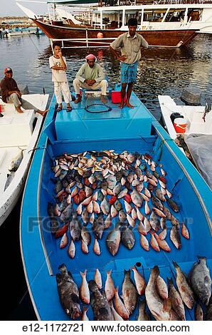 Middle East, Oman, Mussandam area, fish market od Dibba. View Large Photo Image Stock Image - Middle East, Oman, Mussandam area, fish market od Dibba.. Fotosearch