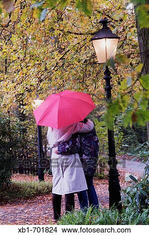 Middleaged couple with an umbrella goes for a walk in rainy weather View Large Photo Image Picture - Middleaged couple with an umbrella goes for a walk in rainy weather. Fotosearch