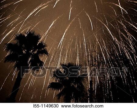Midnight fireworks in the Turia park (Valencia, Spain) View Large Photo Image Stock Image - Midnight fireworks in the Turia park (Valencia, Spain). Fotosearch