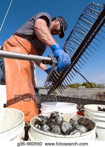 Stock Image - Mike McGiveney, quahogger. Fotosearch