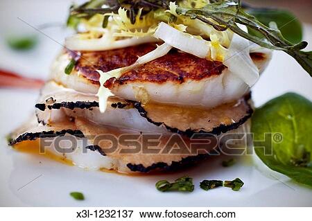 Millefeuille of scallop, summer truffles and bitter salad with romesco Molinos de Duero, Soria Castile-Leon Spain View Large Photo Image Stock Photo - Millefeuille of scallop, summer truffles and bitter salad with romesco Molinos de Duero, Soria Castile-Leon Spain. Fotosearch