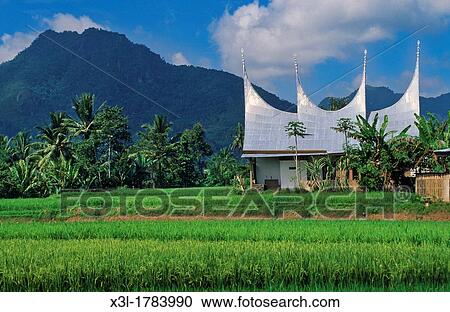 Stock Image - Minangkabau typical house Sumatra Indonesia. Fotosearch