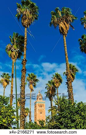 Stock Image - Minaret of the Koutoubia Mosque, Marrakesh (Marrakech), Morocco, North Africa, Africa.. Fotosearch