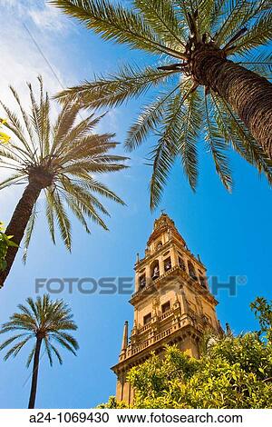 Minaret tower of the Great Mosque, Cordoba, Andalusia, Spain View Large Photo Image Stock Image - Minaret tower of the Great Mosque, Cordoba, Andalusia, Spain. Fotosearch