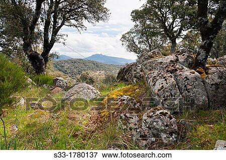 Mingamorena hill in PelahustBn Toledo Castilla la Mancha Spain View Large Photo Image Stock Photo - Mingamorena hill in PelahustBn Toledo Castilla la Mancha Spain. Fotosearch
