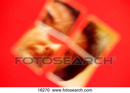 Mirror with human reflection View Large Photo Image Stock Image - Mirror with human reflection. Fotosearch