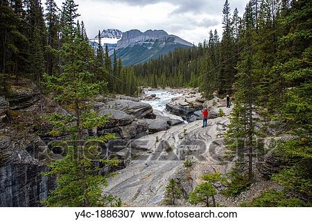 Stock Photo - Mistaya Canyon along the Icefields Parkway in Banff National Park in Alberta Canada in the Canadian Rockies. Fotosearch