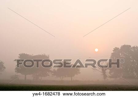 Misty morning landscape, Vrindavan, Uttar Pradesh, India View Large Photo Image Stock Photo - Misty morning landscape, Vrindavan, Uttar Pradesh, India. Fotosearch