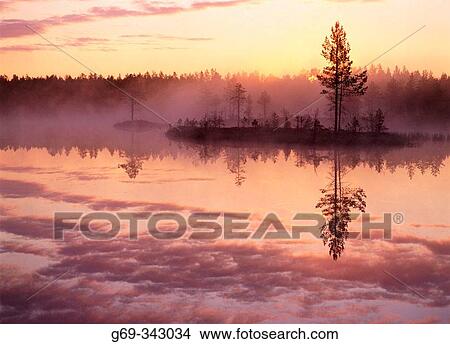 Misty summernight at lake and sunrise. Byske, V? sterbotten, Sweden View Large Photo Image Picture - Misty summernight at lake and sunrise. Byske, V? sterbotten, Sweden. Fotosearch