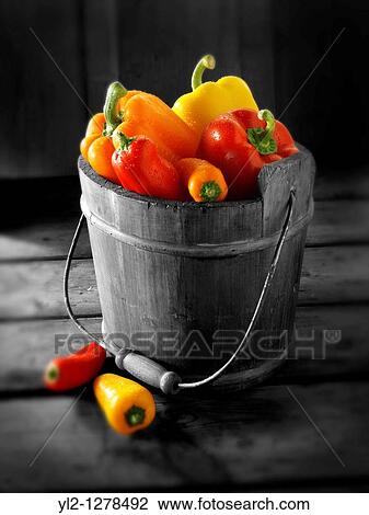 Mixed red, yellow & orange fresh bell peppers View Large Photo Image Stock Image - Mixed red, yellow & orange fresh bell peppers. Fotosearch